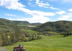 Casette salva-impollinatori, al via gli ‘Accordi di custodia’ – Mondo Agricolo – Ansa.it