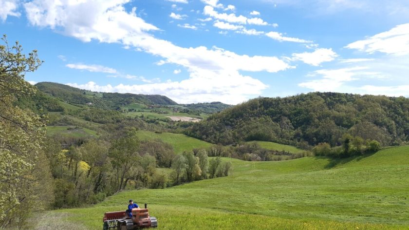 Casette salva-impollinatori, al via gli ‘Accordi di custodia’ – Mondo Agricolo – Ansa.it