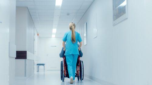 Gimbe: ‘Gli stipendi degli infermieri tra i più bassi nell’Ue e pochi laureati’ – Sanità – Ansa.it
