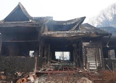 Incendi boschivi in Corea del Sud, 18 morti e 19 feriti – Asia – Ansa.it