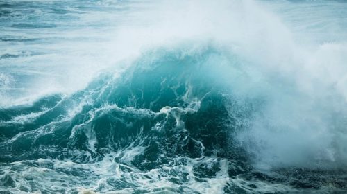 I giganti d’acqua hanno fame d’aria, dall’Italia alle Hawaii al Giappone I giganti d’acqua hanno fame d’aria, dall’Italia alle Hawaii al Giappone