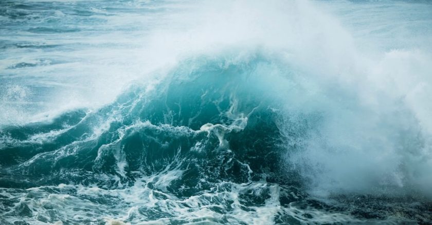 I giganti d’acqua hanno fame d’aria, dall’Italia alle Hawaii al Giappone