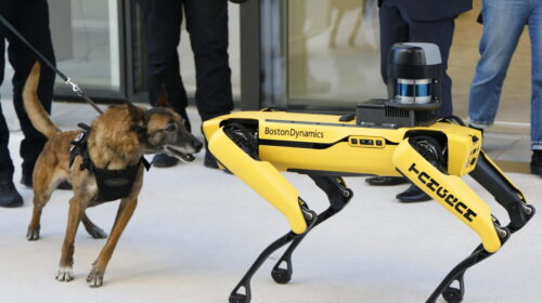 Al via Osservatorio del Politecnico di Milano sulla robotica – Future Tech – Ansa.it