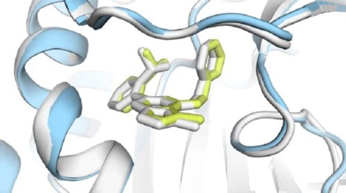 AlphaFold compie 5 anni, ricercatori premiati col Nobel nel 2024 – Future Tech – Ansa.it