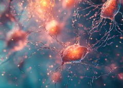 Perchè il cervello degli anziani fatica ad adattarsi ai cambiamenti