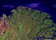 L'80% dei fiumi smette di scorrere almeno un giorno all’anno