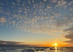 Nel 2025 nuovo record per le temperature degli oceani