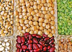 Il Dna svela il ruolo chiave della vitamina B1 nella motilità intestinale