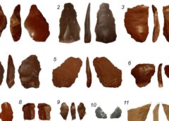 Da una caverna prealpina il 'set da viaggio' dei Neanderthal