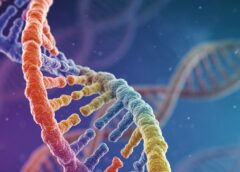 Pronto il decoder del Dna, per le terapie del futuro