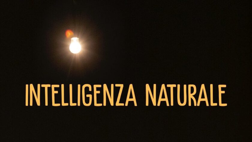 Andrea Pezzi, 'si torni all'umano contro il declino delle democrazie'