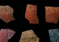 Le più antiche forme geometriche incise su uova di struzzo, 60 mila anni fa