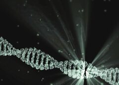 Errori nella riparazione del Dna alla base della perdita di abilità