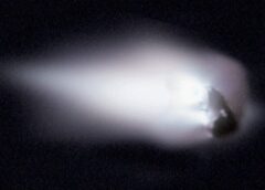 La febbre della cometa di Halley, 40 anni fa