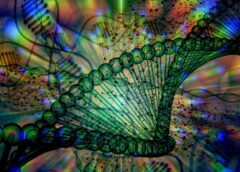 Si cercano nel Dna i geni universali che hanno dato origine ai viventi