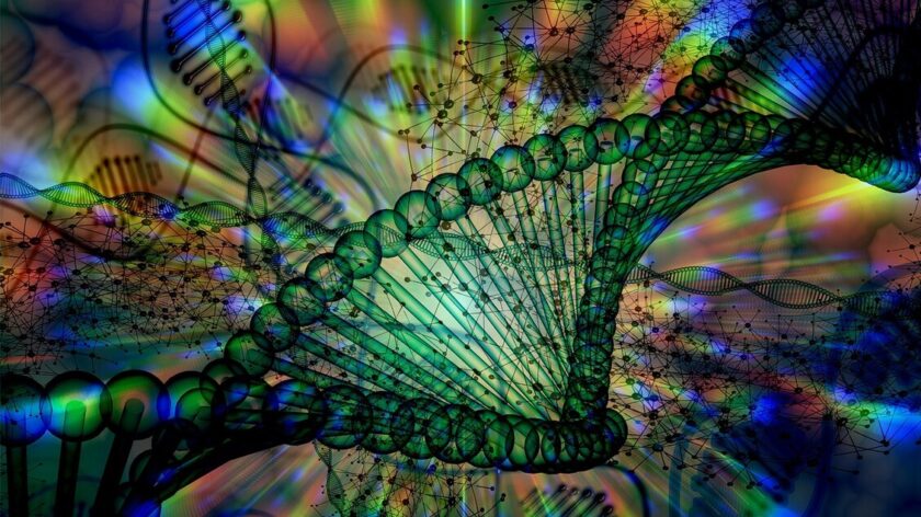 Si cercano nel Dna i geni universali che hanno dato origine ai viventi