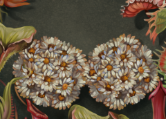 L’aggressività dei tumori in un’allegoria   VIDEO