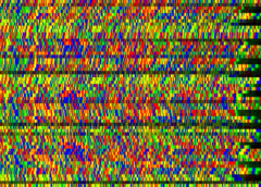 Nuova tecnica per analizzare rapidamente milioni di genomi