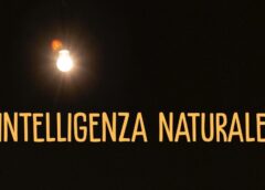 Andrea Pezzi, ‘si torni all’umano contro il declino delle democrazie’ – Notizie – Ansa.it