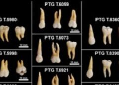 Cereali e carboidrati nella dieta degli abitanti del Sud Italia nell’Età del Ferro