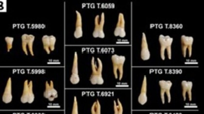 Cereali e carboidrati nella dieta degli abitanti del Sud Italia nell’Età del Ferro
