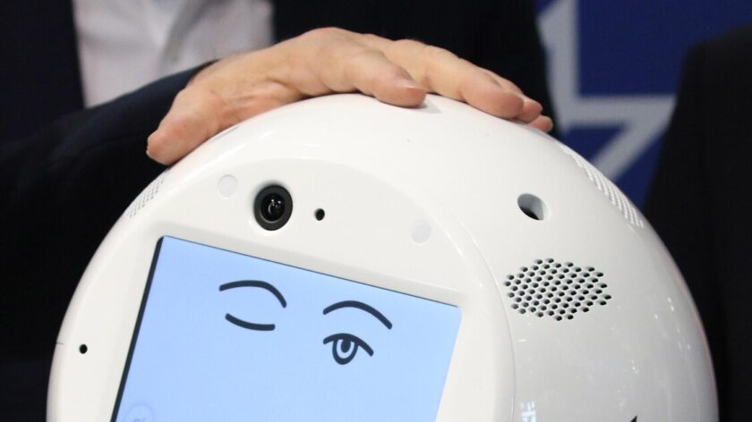 L'intelligenza artificiale rischia di falsare i sondaggi online